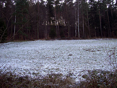 Schnee