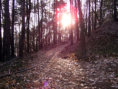 Trail an der Altenburg