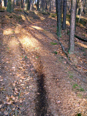 Bremsspur an der Altenburg