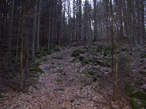 100_1401.jpg