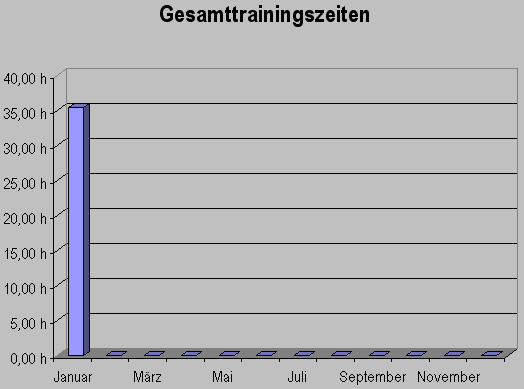 Gesamtzeit Januar 2008