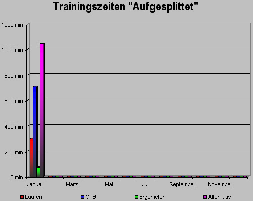 Trainingszeit Aufgesplittet Januar 2008