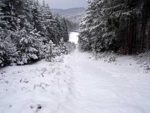 Winterlandschaft unterhalb des Pfaffenberges