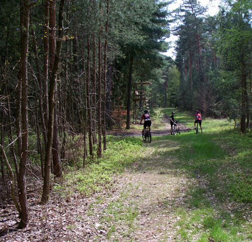100_2435.jpg