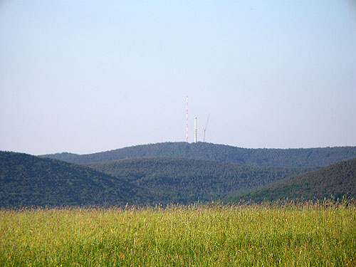 100_2772.jpg