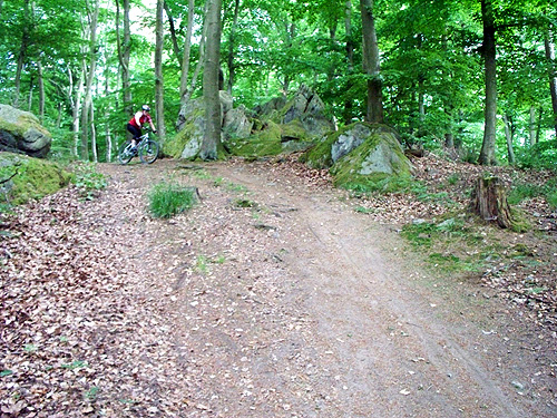100_2941.jpg