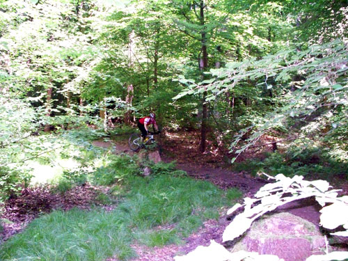 100_2970.jpg