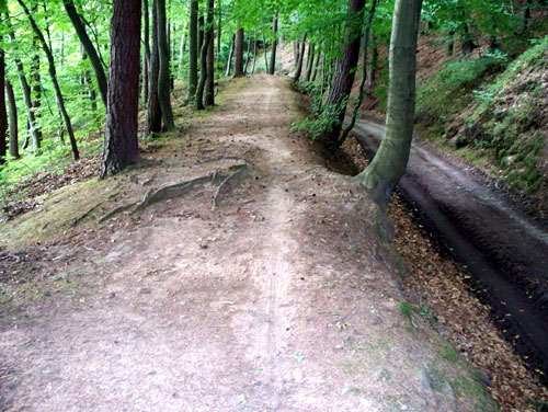 100_3233.jpg