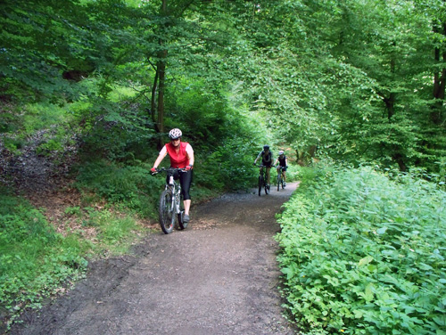In der Rückersbacherschlucht