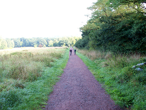 05.jpg