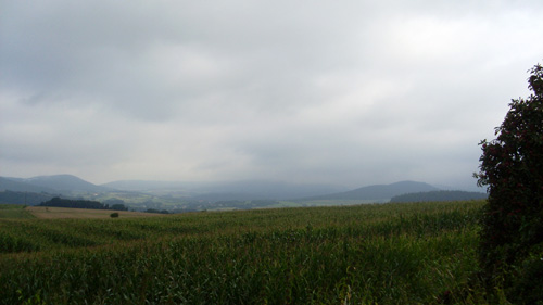 09.jpg