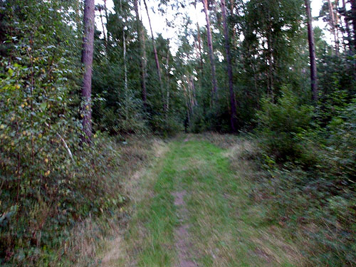 dscf0025.jpg
