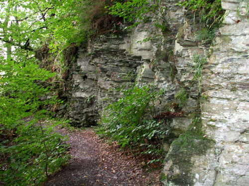 dscf0038.jpg