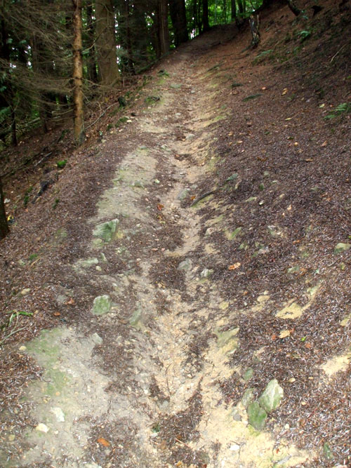 dscf0043.jpg