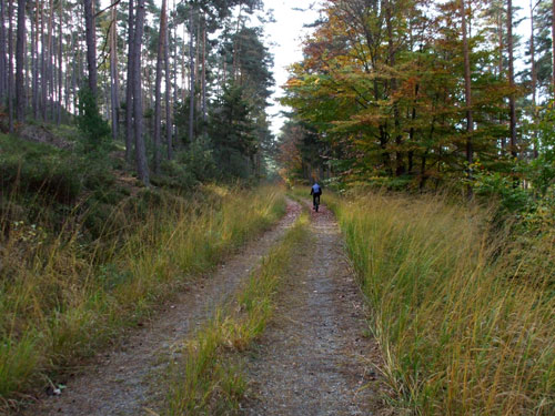 dscf0679.jpg