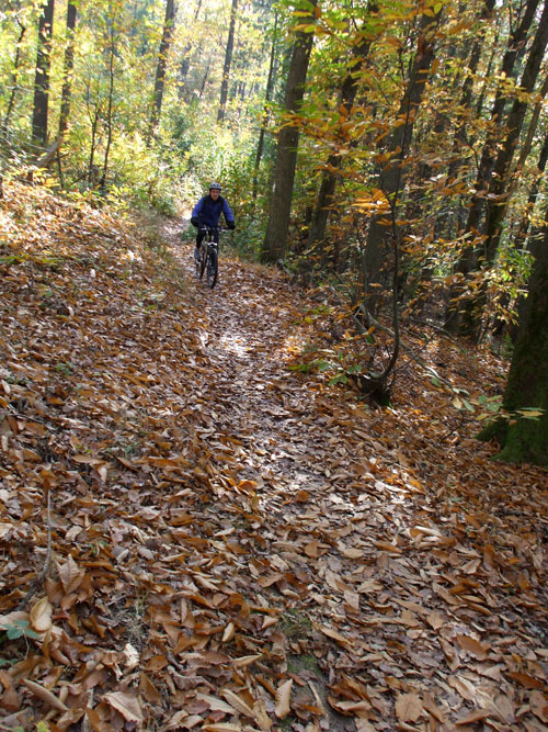 dscf0686.jpg