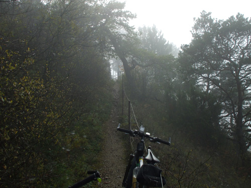 dscf0701.jpg