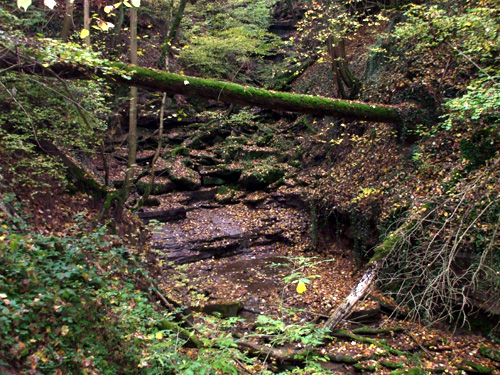 dscf0726.jpg