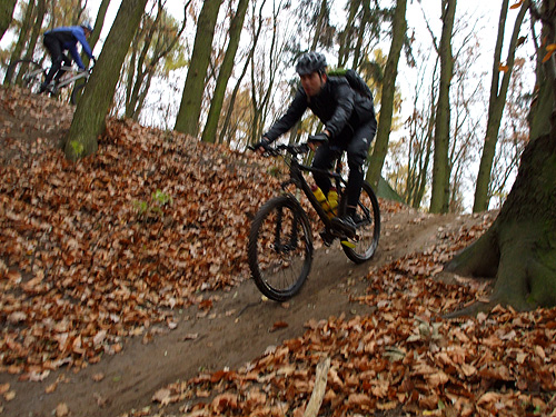 dscf0753.jpg