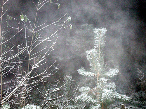 dscf0800.jpg