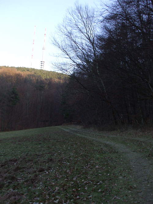 dscf0983.jpg