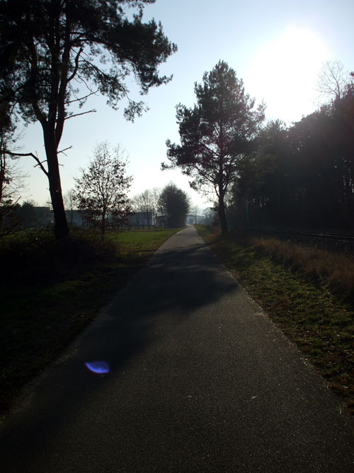 dscf0994.jpg