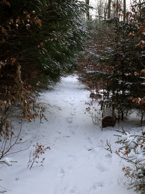 dscf1216.jpg