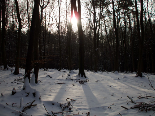 dscf1218.jpg