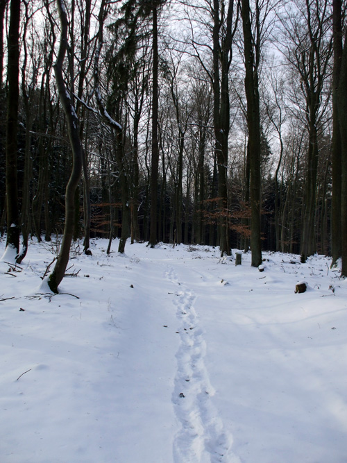 dscf1219.jpg