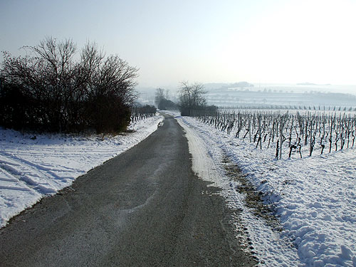 dscf1228.jpg