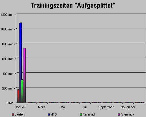 trainingszeitjanuar09.gif