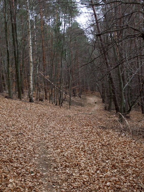 dscf1238.jpg