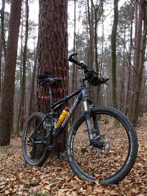 dscf1239.jpg
