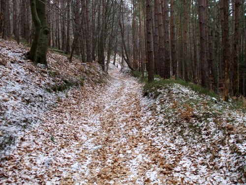 dscf1241.jpg