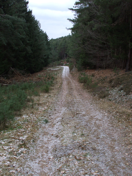 dscf1243.jpg