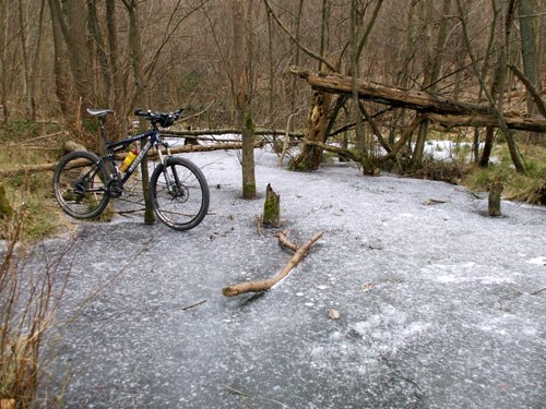 dscf1247.jpg
