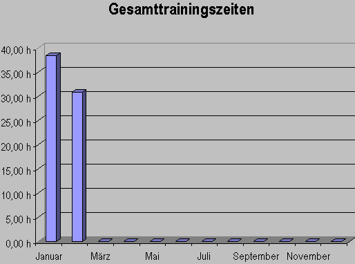gesamtzeitfebruar09.gif