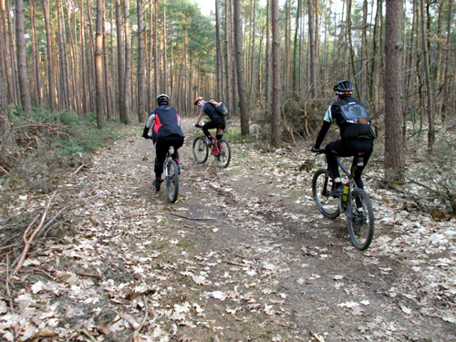 dscf1282.jpg