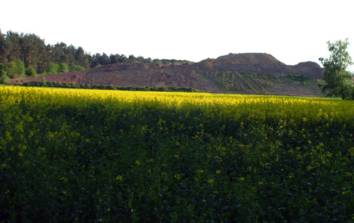 dscf1577.jpg