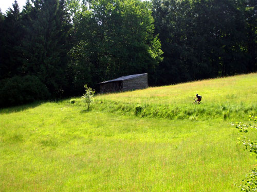 dscf1905.jpg