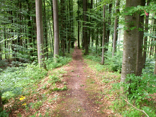 dscf1931.jpg