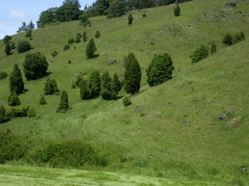 dscf2012.jpg