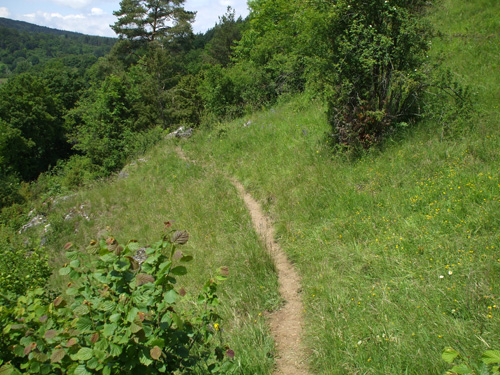 dscf2055.jpg