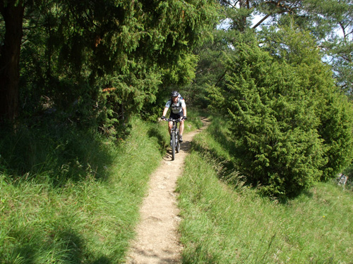 dscf2066.jpg