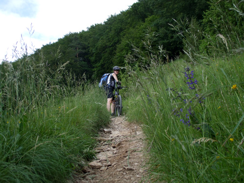 dscf2069.jpg