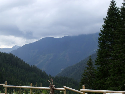 dscf2414.jpg