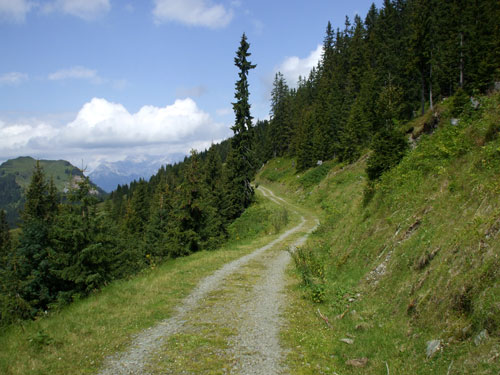 dscf2465.jpg