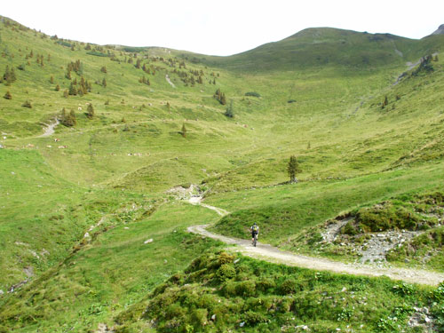 dscf2596.jpg