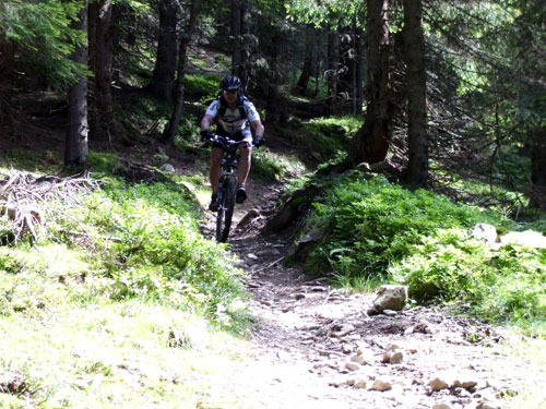 dscf2658.jpg