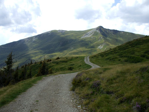 dscf2723.jpg